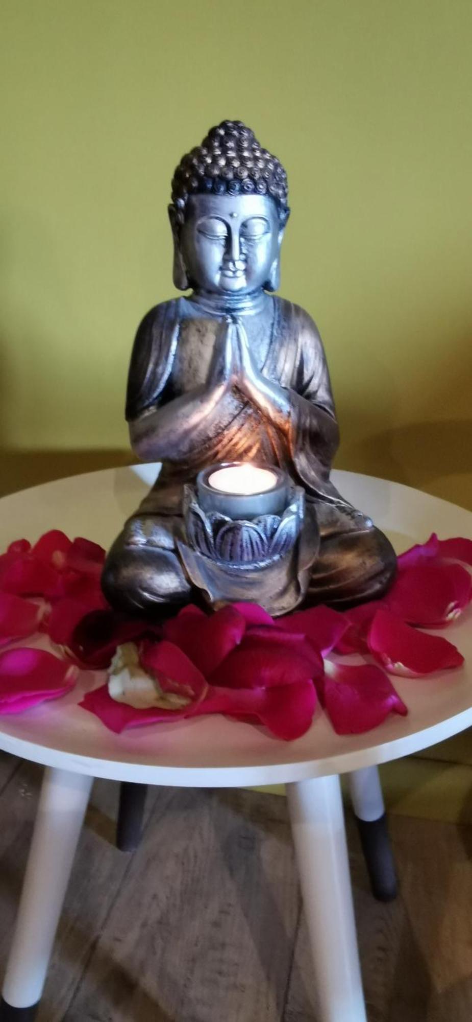 Lavand'Ange Et Spa 萨尔里昂 外观 照片